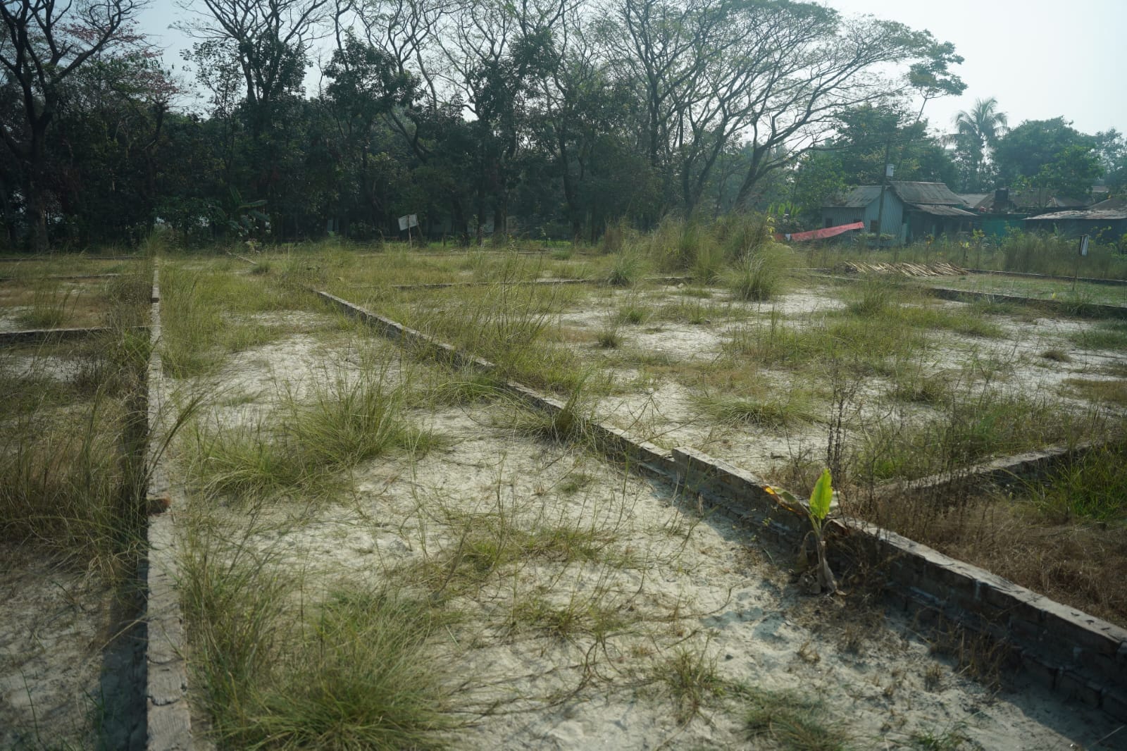 Moynamoti Project Main Vista
