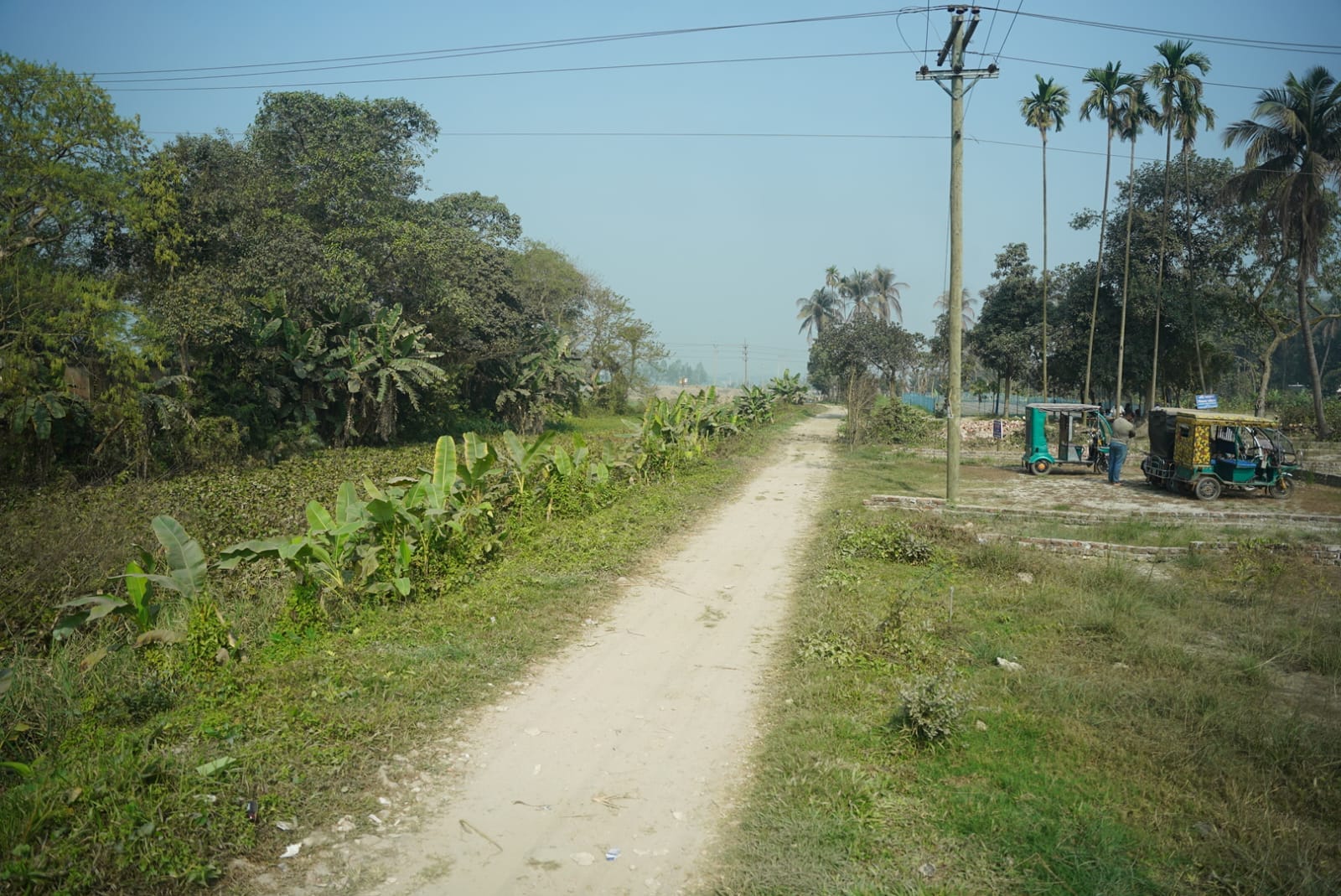 Panoramic Horizon