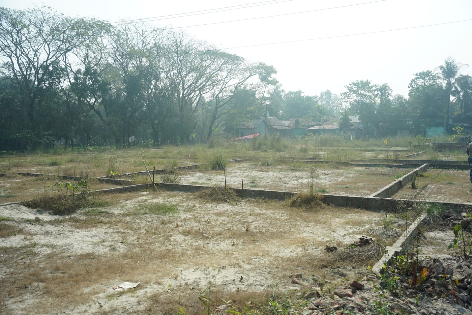 Plot Landscape
