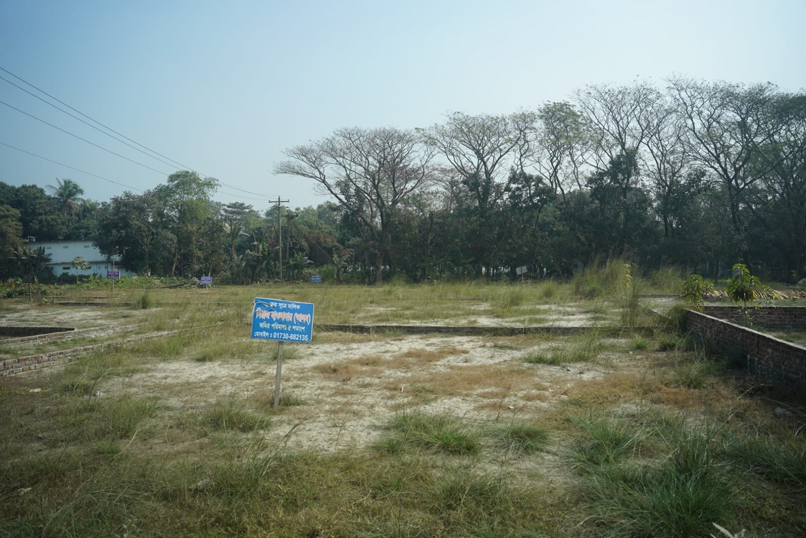 Surrounding Greenery