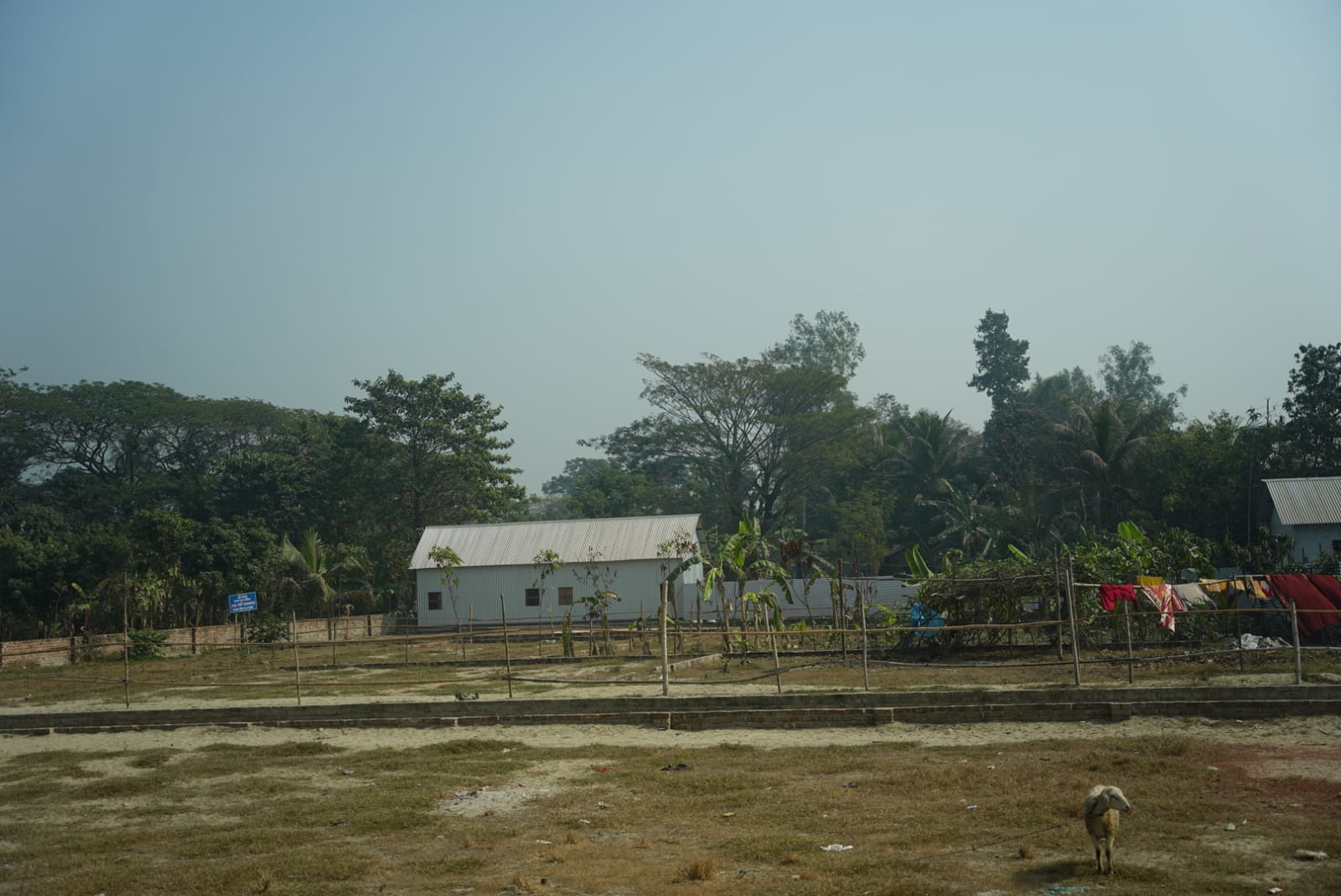 Plot Layout