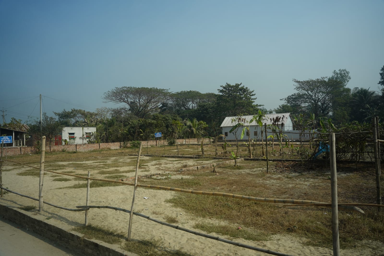 Surrounding Greenery